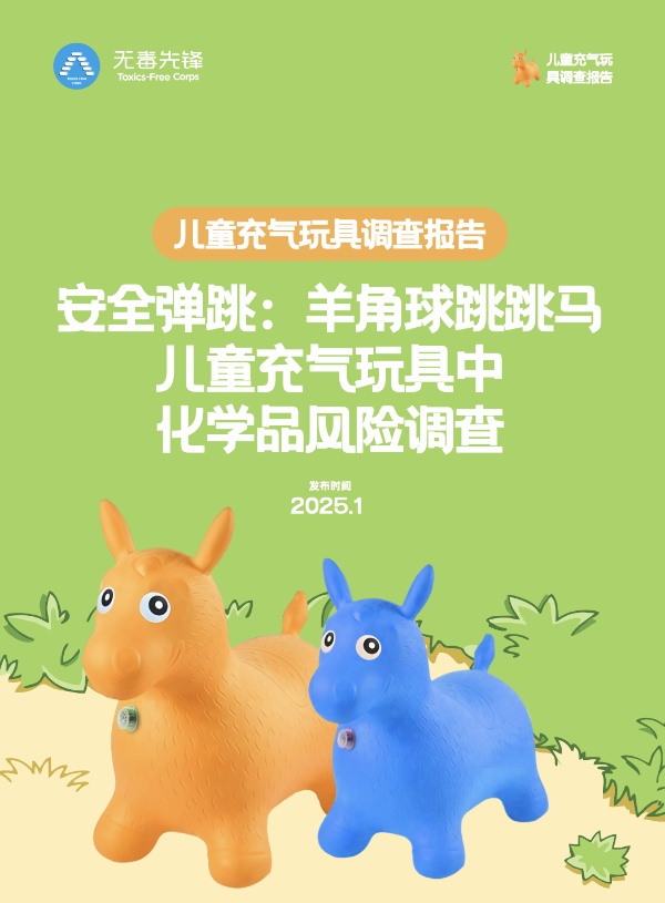 儿童充气玩具调查报告（跳跳马/羊角球）